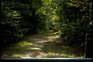 Prince William Forest Park PRWI9688.jpg