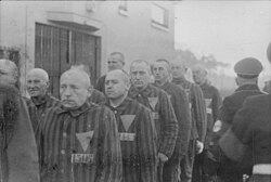 Дети во время Холокоста | Энциклопедия Холокоста