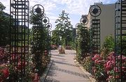 Promenade plantée