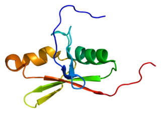 <span class="mw-page-title-main">RASSF8</span> Protein-coding gene in the species Homo sapiens