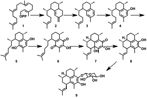 Overall biosynthetic scheme for pseudopterosin A Pseudopterosin A biosynthetic scheme.tif