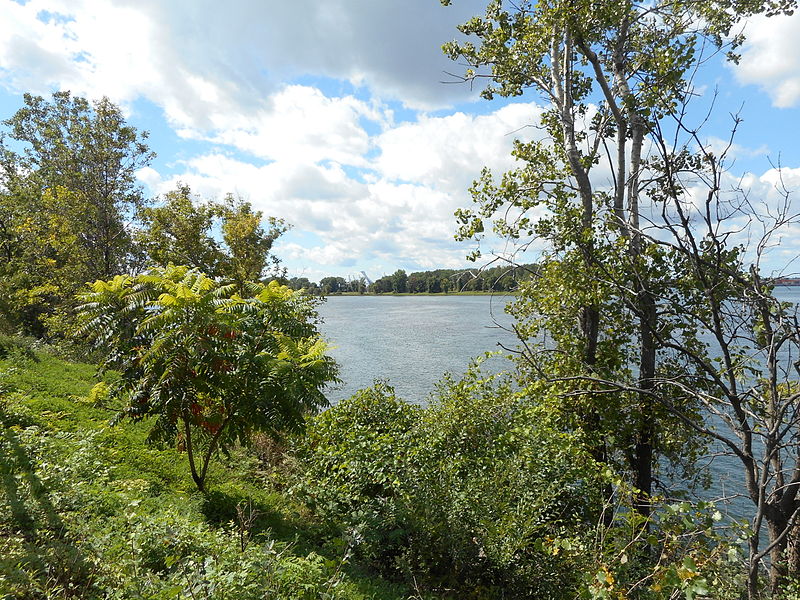 File:Quai du bateau-passeur Longueuil - ile Charron 24.jpg