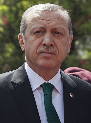 Recep Tayyip Erdoğan: Masa kecil hingga remaja, Karier politik, Pemilihan Presiden Turki 2014