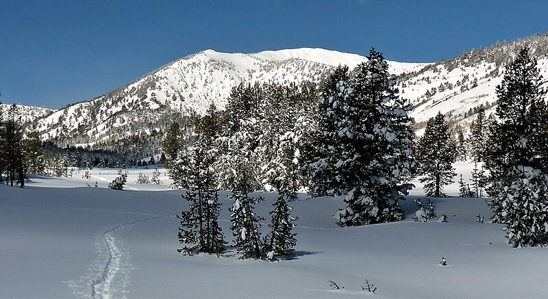 File:Relay Peak, Tahoe Meadows.jpg