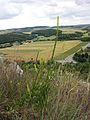 Staatzer Klippe, Lower Austria