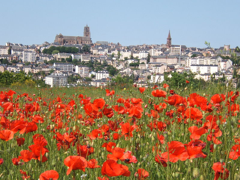 File:Rodez-coquelicots480.JPG