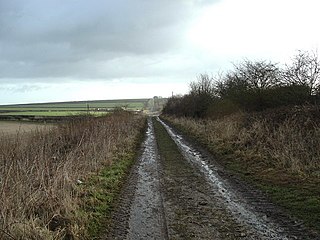 <span class="mw-page-title-main">Woldgate</span> Minor road in the East Riding of Yorkshire, England