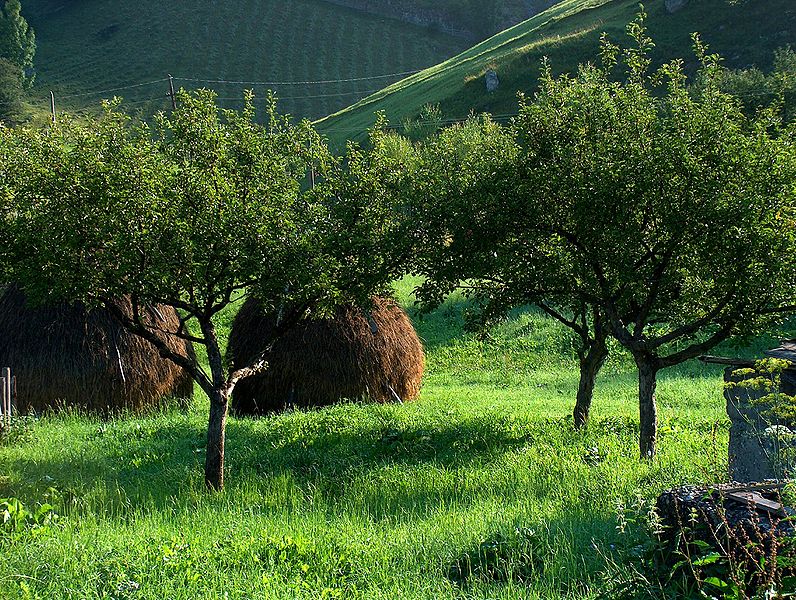 File:RomanianLandscape0014jpg.JPG