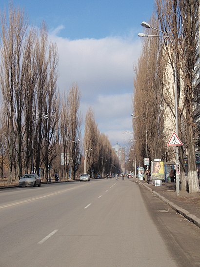 Як дістатися до Русанівська набережна 4 громадським транспортом - про місце