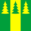 Vlag van de gemeente Saarde