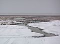 Salzwiese im Winter