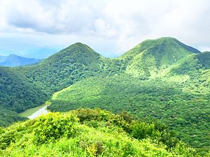 Nihonkai Evergreen Forests