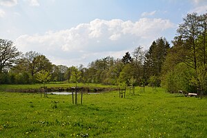 Schleswig-Holstein, Heidmühlen, Landschaftsschutzgebiet Bad Bramstedt NIK 6198.jpg