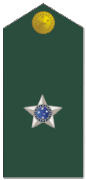 Insignia de Teniente del Ejército Brasileño.