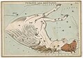 Sidney Hall - Urania's Mirror - Pegasus and Equuleus (best currently available version - 2014) - original.jpg