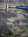 Small fault in gneiss (Precambrian; Rt. 93 roadcut next to the New River, Mouth of Wilson, Virginia, USA) 2 (30659767791).jpg