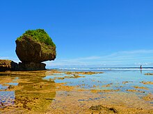 Exposed reef flats during low tide at the Magpupungko Rock Pools in Siargao Island, Philippines Special Awards Magpupungko Category.jpg