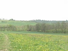 Wiesenabschnitt des Sperberklingenbachs vor seiner Mündung, Lauf von rechts unten nach der hinteren Bildmitte, hinten von rechts nach links die Avenbach-Galerie.