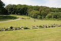 Tierfriedhof Wolkenreise