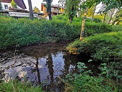 Zusammen­fluss von Stettener Haldenbach und Strümpfelbach