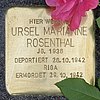 Struikelsteen Josef-Nawrocki-Str 12 (Frihg) Ursel Marianne Rosenthal.jpg