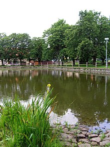 Dosiero:Struhařov,_common_pond.jpg