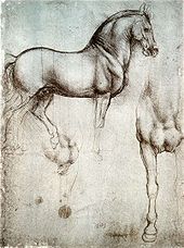 A page with two drawings of a war-horse, one from the side, and the other showing the chest and right leg