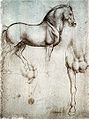 Ébauche de cheval par Léonard de Vinci