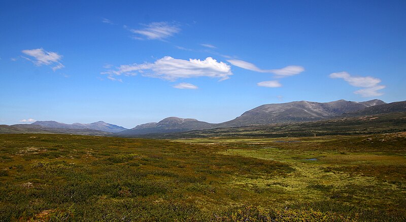 File:Sweden 2018-07-28 (44775550571).jpg