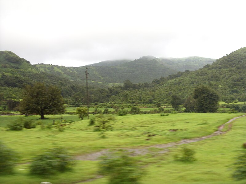 File:Tamhini ghat in rainy season 70.JPG