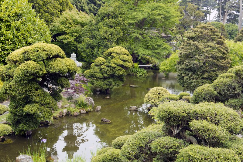 File:The Japanese Tea Garden, located inside Golden Gate Park, San Francisco, California LCCN2013630138.tif