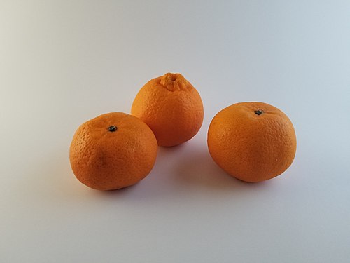 Three Mandarin Oranges