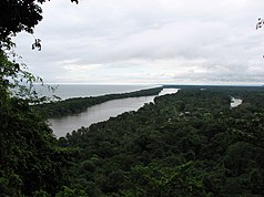 Sikt från det Tortuguero berget över nationalparken