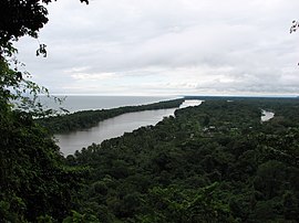 Národní park Tortuguero.jpg