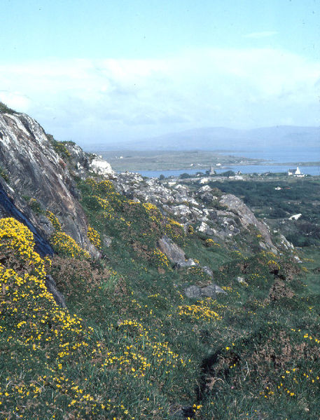 File:Track from Errisbeg summit to Roundstone, looking east. - geograph.org.uk - 71322.jpg