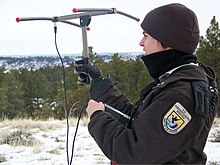 Employee of US Fish and Wildlife Service tracking a mountain lion tagged with a radio collar Tracking Mountain Lions.jpg