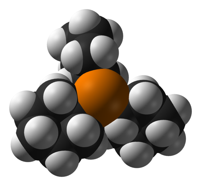 File:Tricyclohexylphosphine-from-xtal-1991-3D-vdW.png