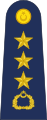 Полковник (албай – на турски: albay‏‎) от Военно-въздушните сили.