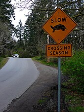 Ein orangefarbenes, rautenförmiges Schild auf der rechten Seite eines kurvenreichen Straßenwegs mit der Aufschrift quot;Langsam: Überqueren der Saisonquot; mit dem Bild einer Schildkröte.