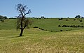 entre Remich et Bous, le panorama