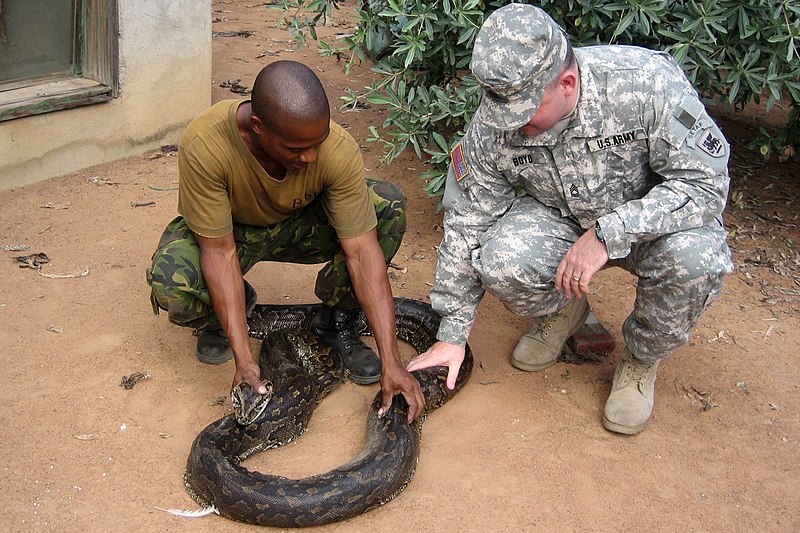 File:U.S. Army Africa NCOs mentor staff operations in Botswana - March 2010 (4461731363).jpg