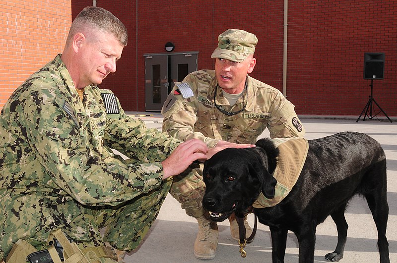 File:US Navy 111207-N-OS584-529 Master Chief Petty Officer of the Navy (MCPON) Rick D. West speaks with Sgt. Paul McCollought about his dog, Sfc. Zeke.jpg