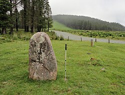 Imagine ilustrativă a articolului Menhir d'Usobelartza