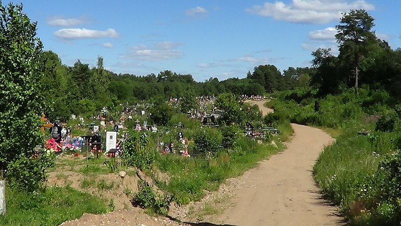 File:Valdaysky District, Novgorod Oblast, Russia - panoramio (971).jpg