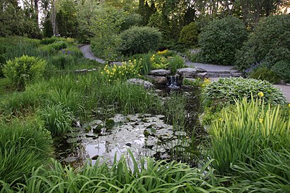 Comment aller à Jardin Botanique Roger-Van den Hende en transport en commun - A propos de cet endroit