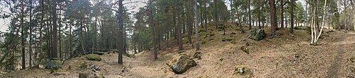 Feltet er 700 meter langt og det største gravfeltet i Norge. Foto: Fordreid panorama 2019