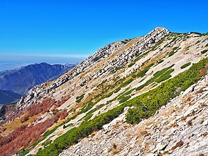 Nature park Velebit. Photograph: Andrej Vukić (CC BY-SA 4.0)