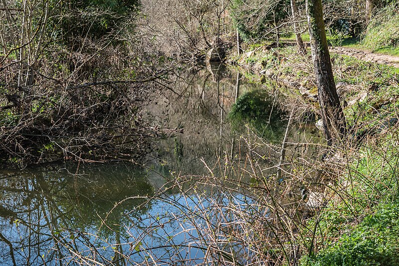 File:Viaur river in Camboulas 05.jpg