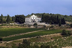 Villa Vistarenni