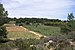Vineyard, Pinet, Hérault 05.jpg